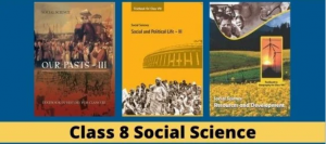 Read more about the article NCERT Solutions for Class 8 Social Science – History, Civics, Geography